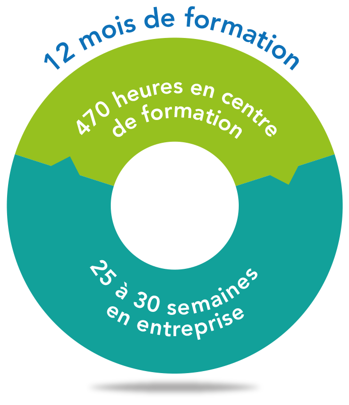 duree-organisation-formation